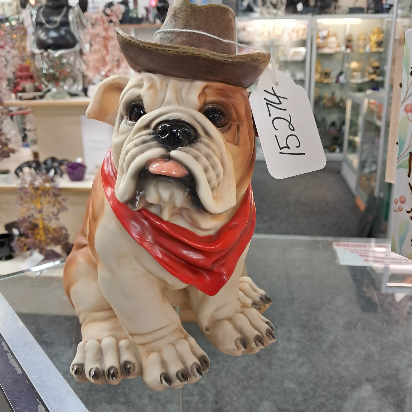 Bulldog - cowboy