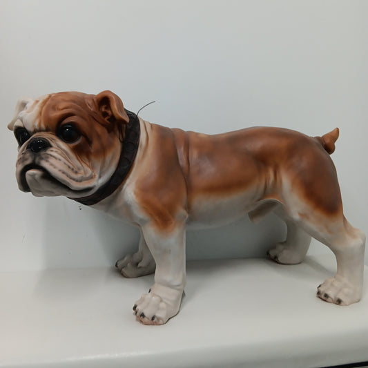 Bulldog - Life Size Standing