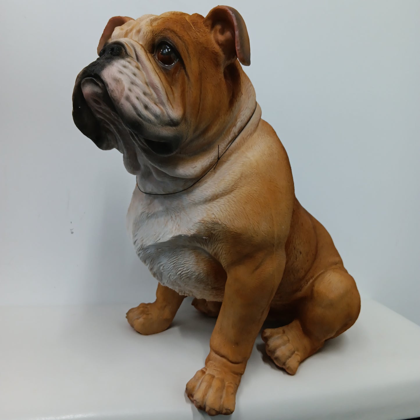 Bulldog - Life Size Sitting