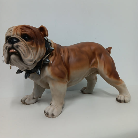 Bulldog - Standing Bulldog