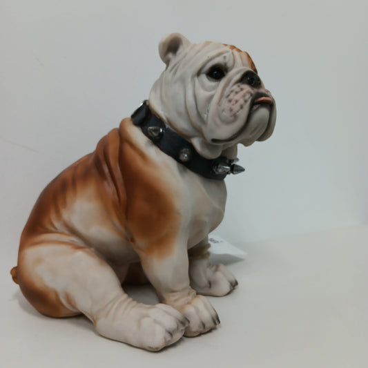 Bulldog - Spiked Collar Sitting