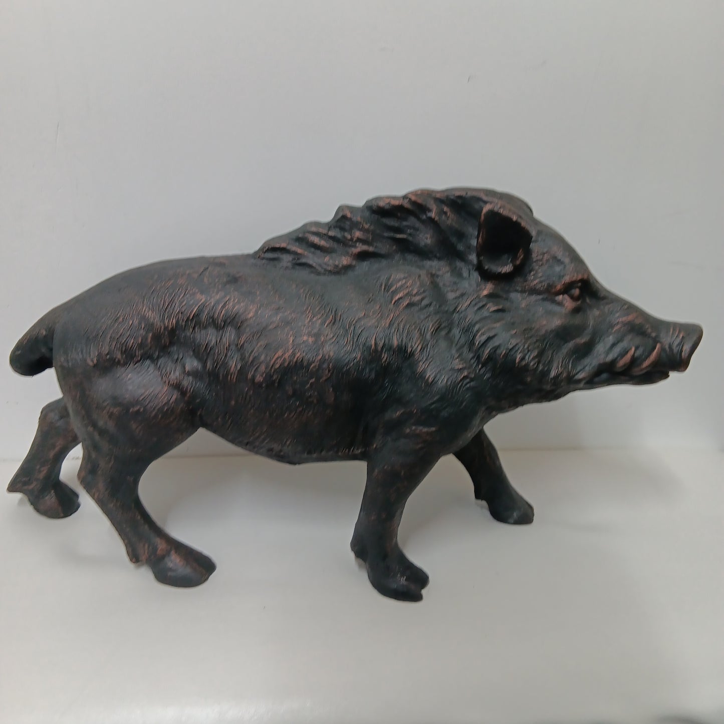 Boar - Large