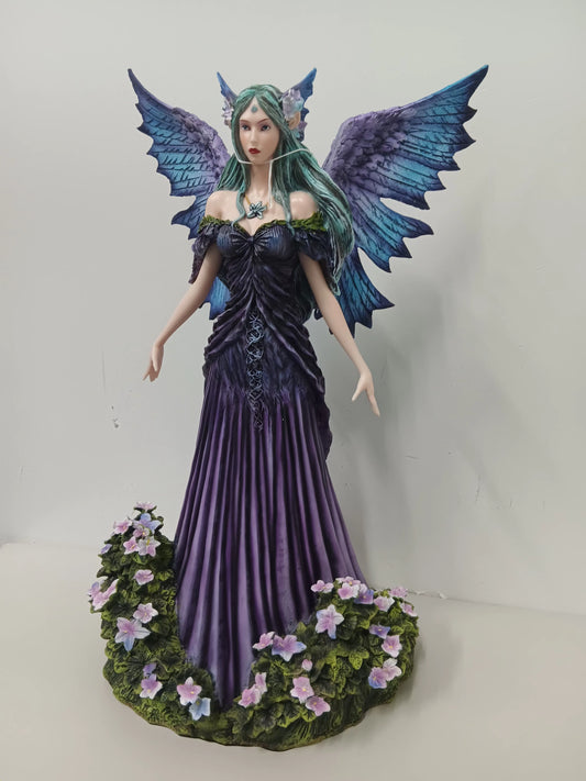 Fairy - Land Violet