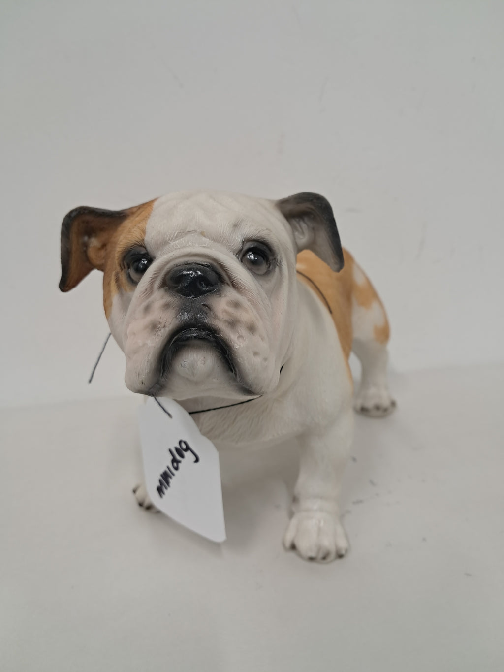 Bulldog - Standing No Collar