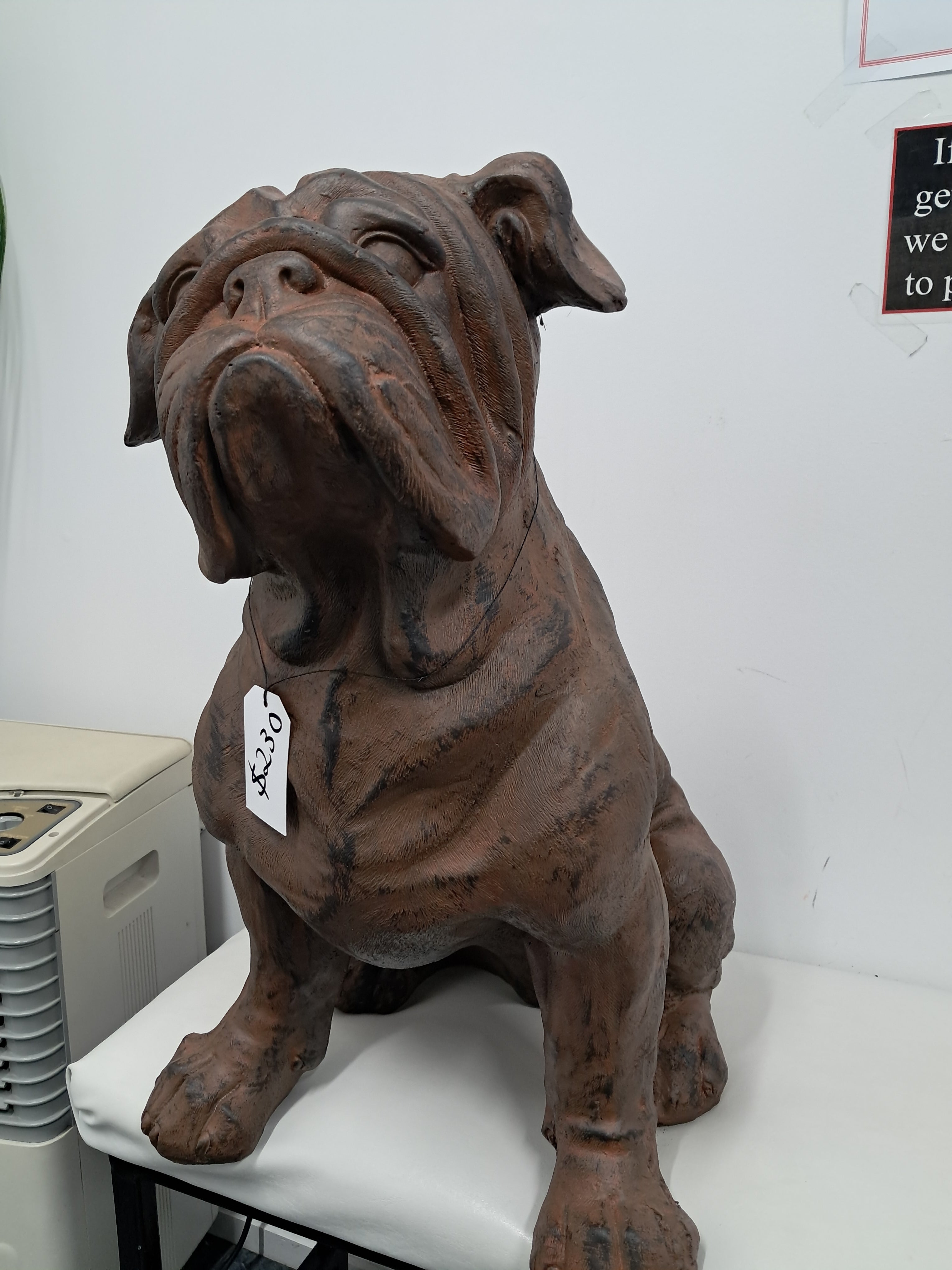 Bulldog - Sitting Red