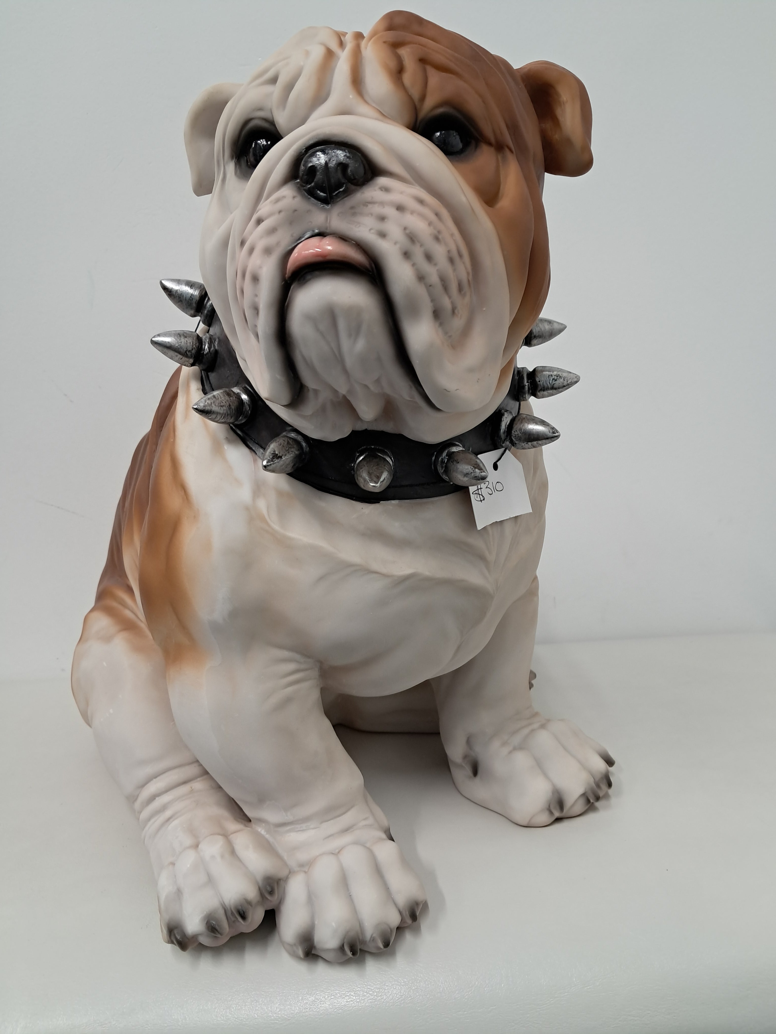 Bull Dog - Large Sitting w/Spike Collar