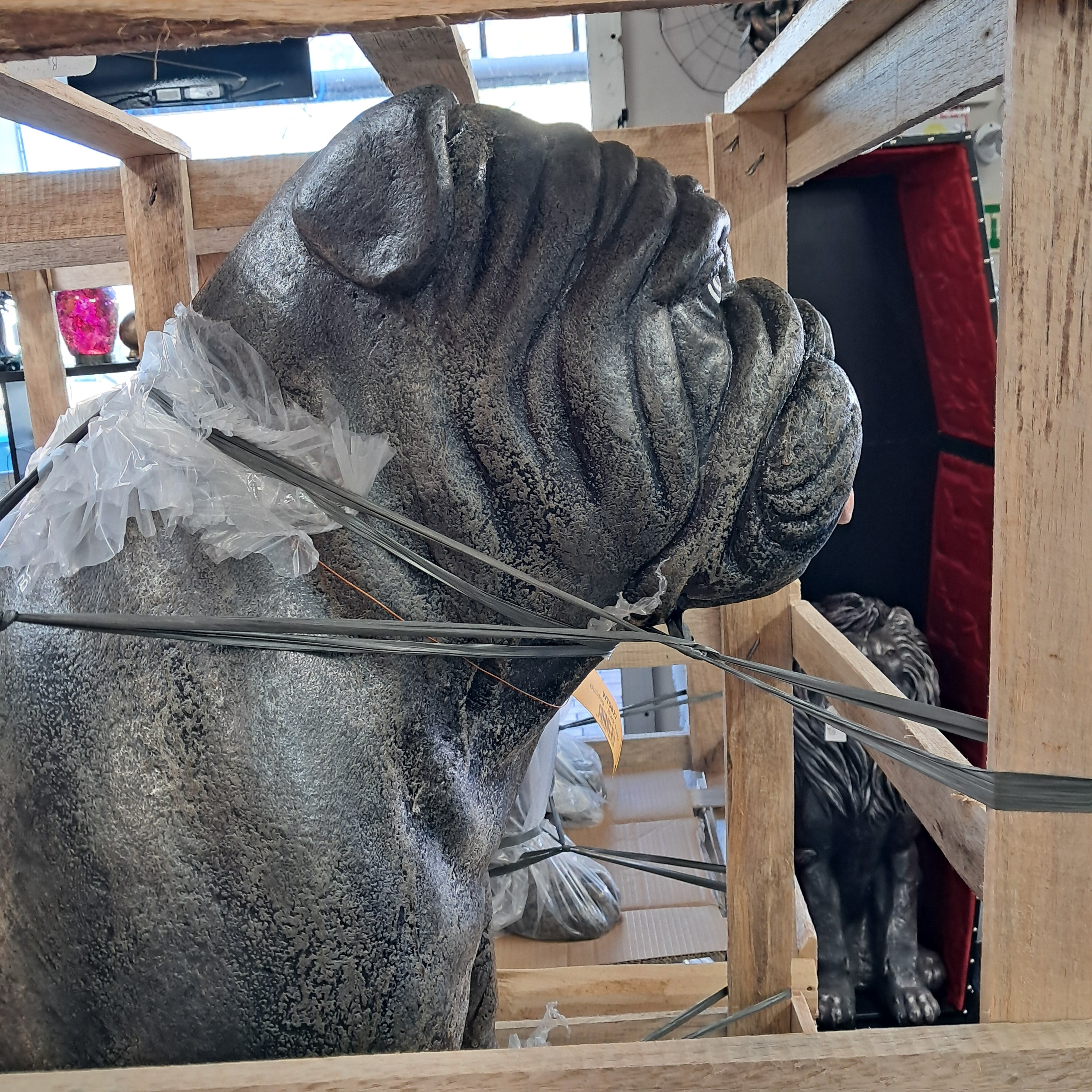 Giant bulldog