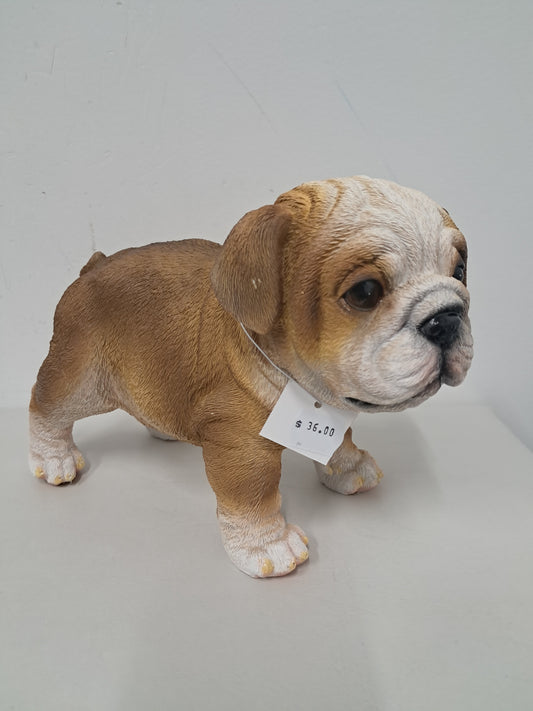 Bulldog - Standing Puppie