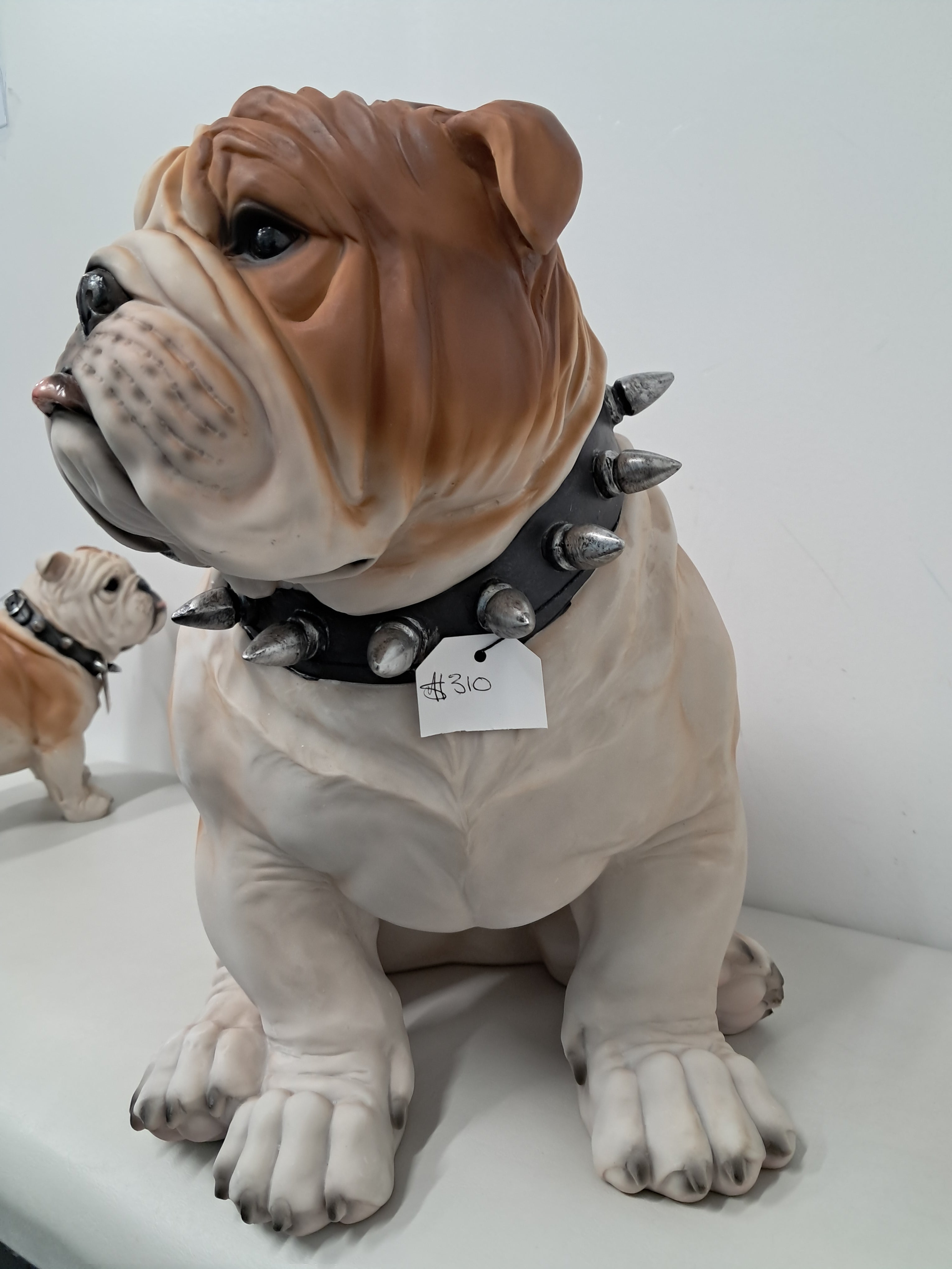 Bull Dog - Large Sitting w/Spike Collar