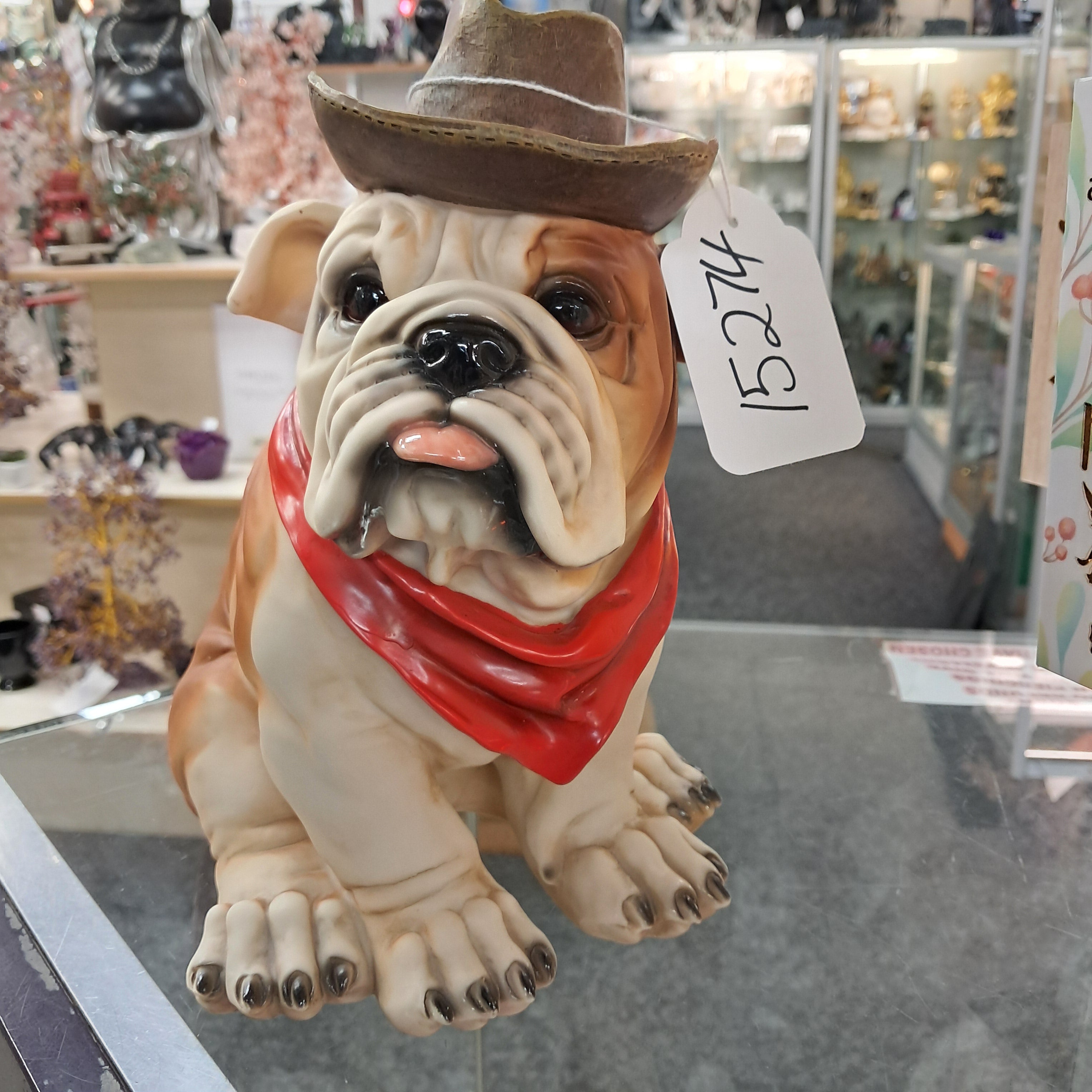 Bulldog - cowboy