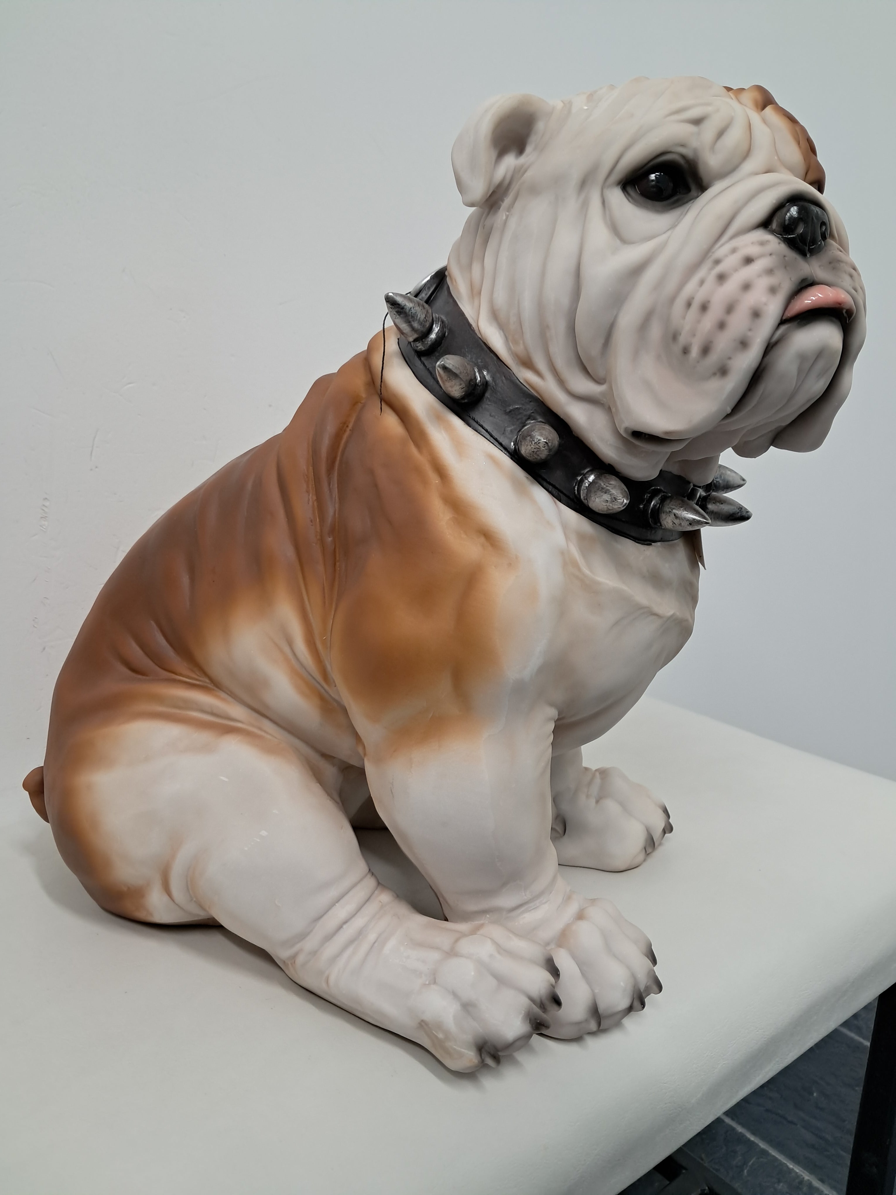 Bull Dog - Large Sitting w/Spike Collar