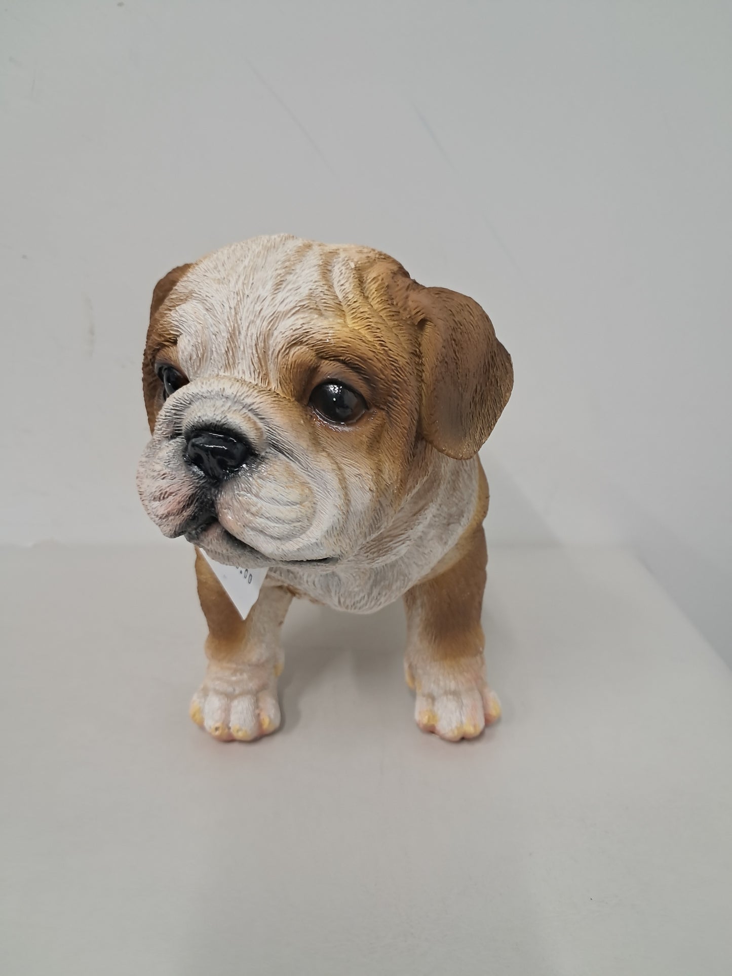 Bulldog - Standing Puppie