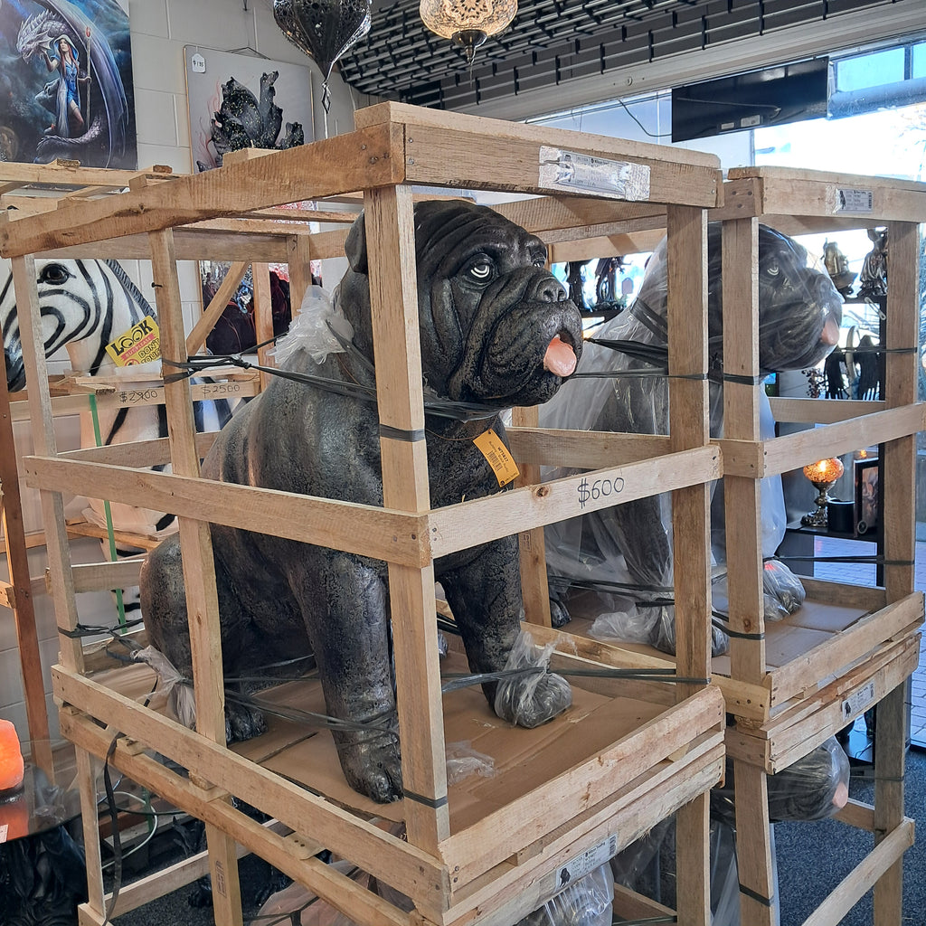 Giant bulldog