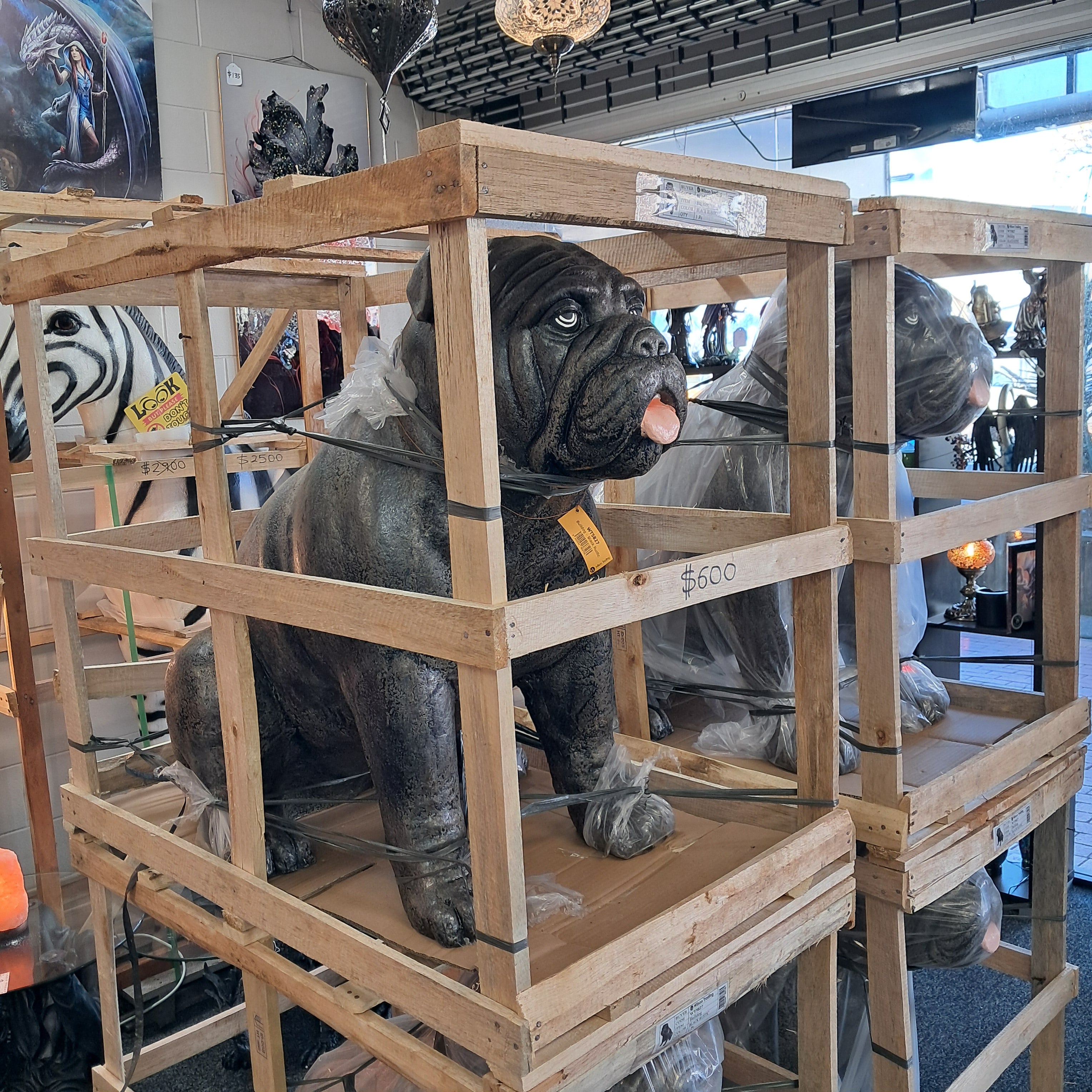 Giant bulldog
